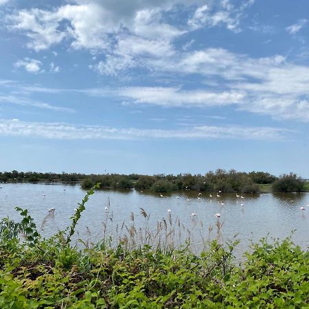 New Jungle Lake - Clim - Wifi - Draps & Serviettes - Bbq - 10' Des Plages Lattes Esterno foto